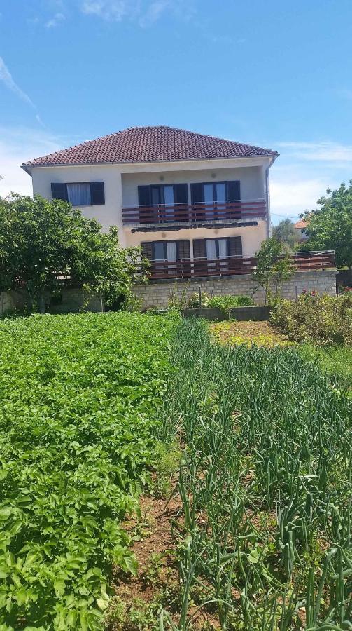 Apartment Pasman 1 Dış mekan fotoğraf